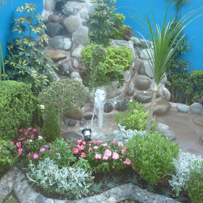 CASCADA EN SAN LORENZO TEZONCO 