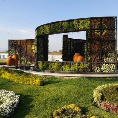 Jardin vertical de suculentas