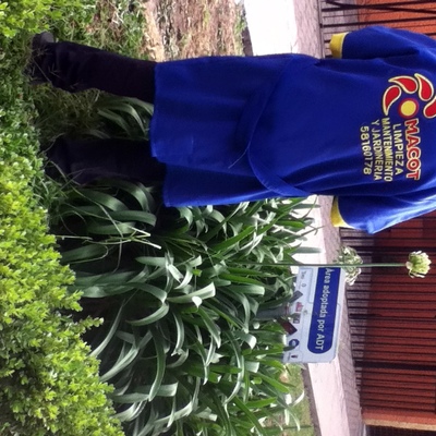 JARDINERIA Y LIMPIEZA