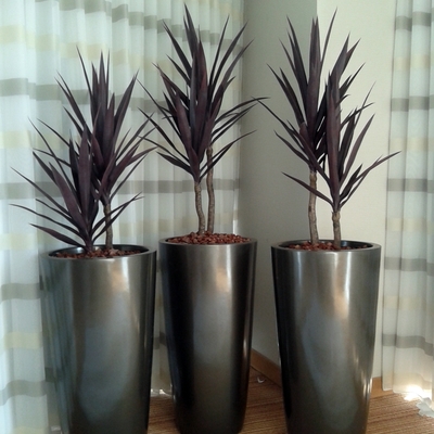 Macetas de Fibra de Vidrio