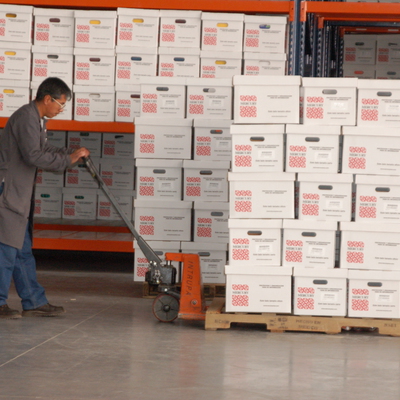 Organización de documentos