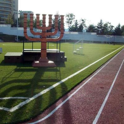 Pista de ateltismo 7