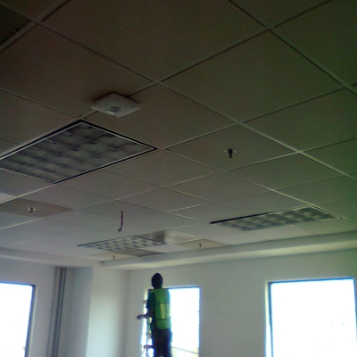 Plafon reticular y cajillo