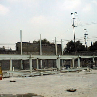 Planta de plastilina, Distrito Federal