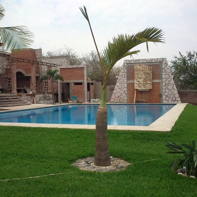 Proyecto terminado Joanacatepec