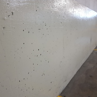 Reparación de Porosidad y Pintura de Muro de Concreto