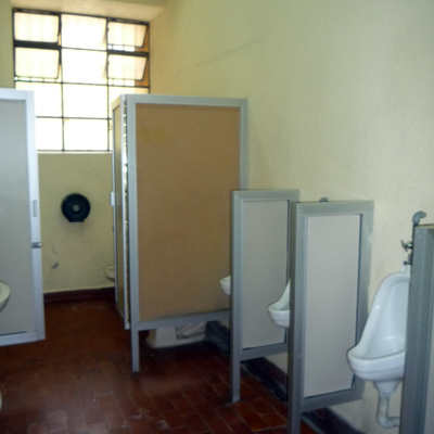 Sanitarios del Museo Nacional de San Carlos