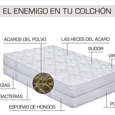 Desinfección garantizada