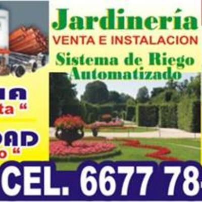 servicios