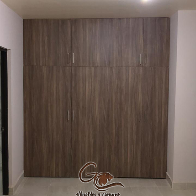 Clóset puertas abatibles (2/4)