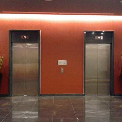 Todo tipo de Plantas