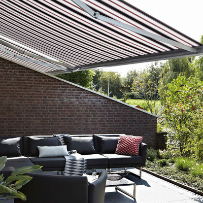 Toldo de proyección