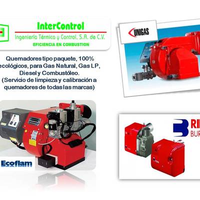 Unigas, Riello y Ecoflam