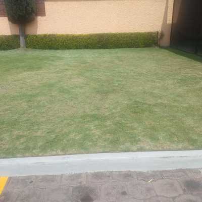 mantenimineto de jardin