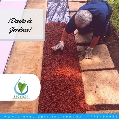 Diseño y mantenimiento de jardines