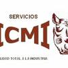 Servicios Icmi, Mantenimiento Integral
