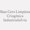 Bajo Cero Limpieza Criogénica Industrialsilvia