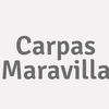Carpas Maravilla