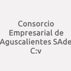 Consorcio Empresarial de Aguascalientes S.A. de C.V.