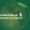 Fumigacion De Plagas En Cancun
