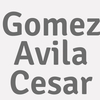 Gomez Avila Cesar