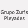 Grupo Zuris Pleyades