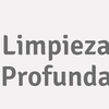 Limpieza Profunda