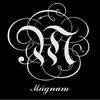 Mágnum Services