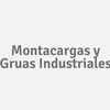 Montacargas y Gruas Industriales SAde Cv