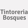 Tintoreria Bosques