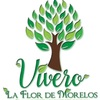 Vivero La Flor De Morelos