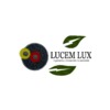 Lucem Lux, Ingeniería y Desarrollo Sustentable
