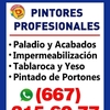 Pintores Profesionales