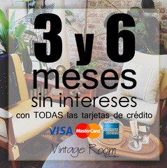 3 y 6 Meses sin Intereses