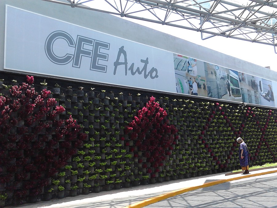 ACADO DE JARDIN VERTICAL "FLORESTA" CFE D.F.