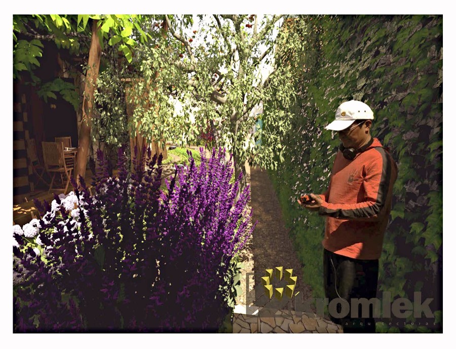 Acceso peatonal (directo a terraza)