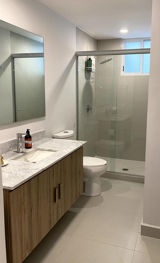 DISEÑO DE INTERIORES Y REMODELACION DEPARTAMENTO EN POLANCO