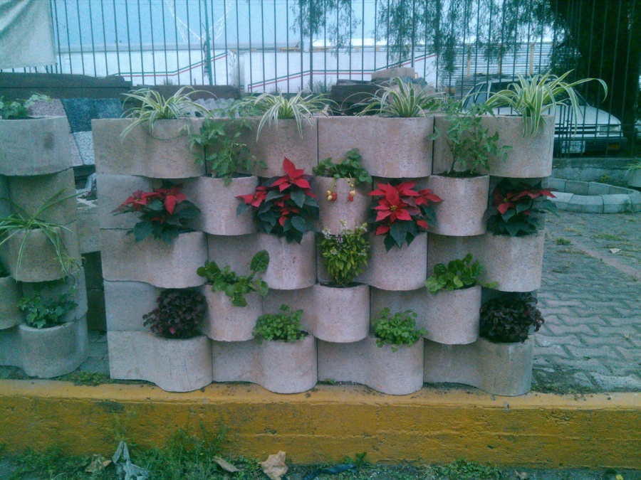 DIVERSIDAD DE PLANTAS 