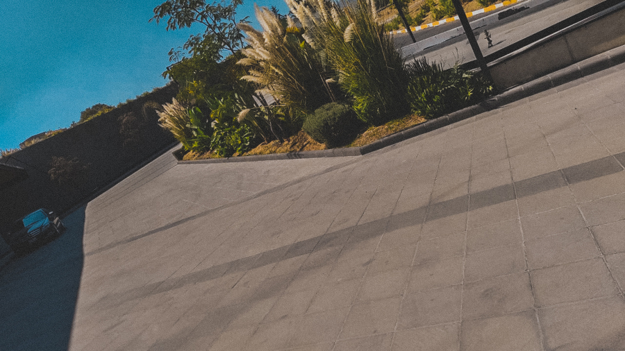 FORESTACION / MANTENIMIENTO MANIGUAFORESTACION / MANTENIMIENTO MANIGUA