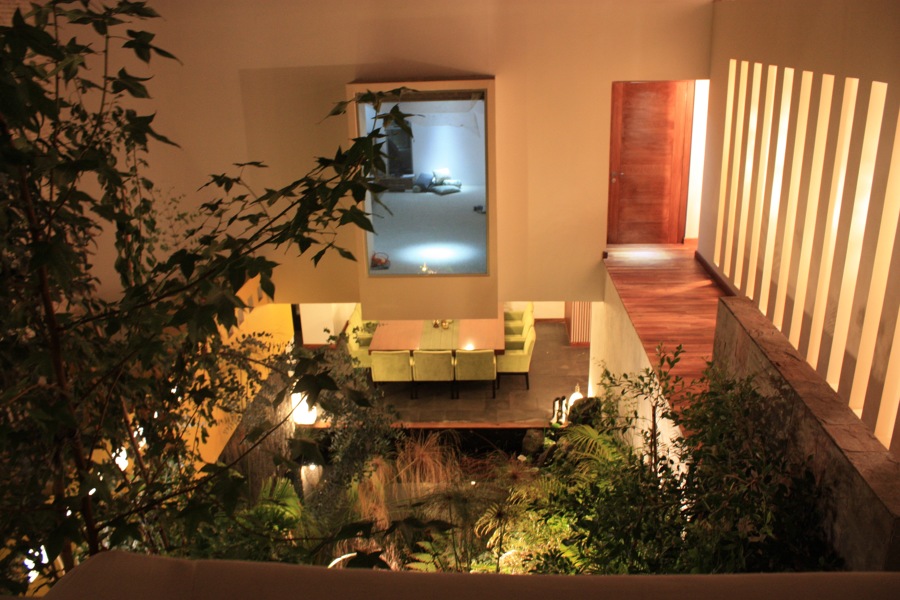 Jardín interior.