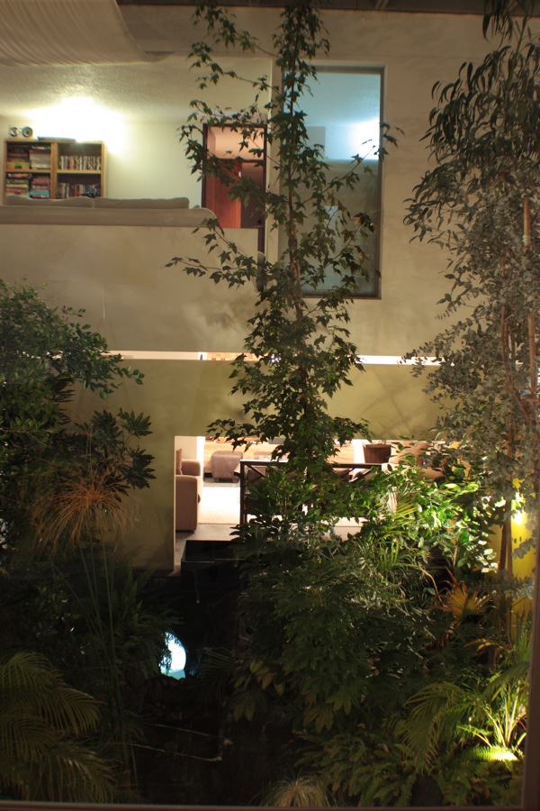 Jardín interior