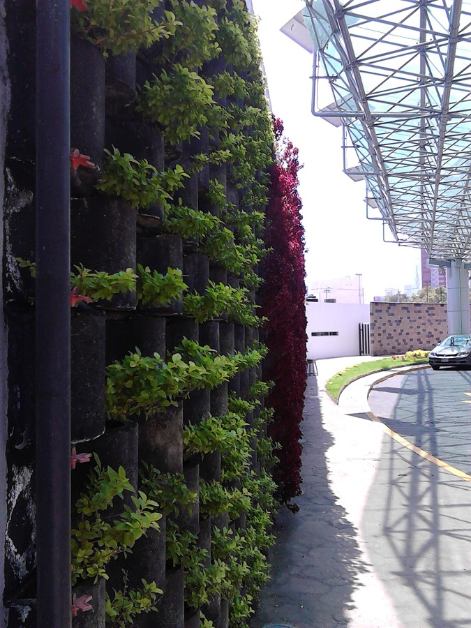 JARDIN VERTICAL "FLORESTA"