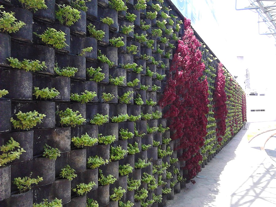 JARDIN VERTICAL "FLORESTA" CFE