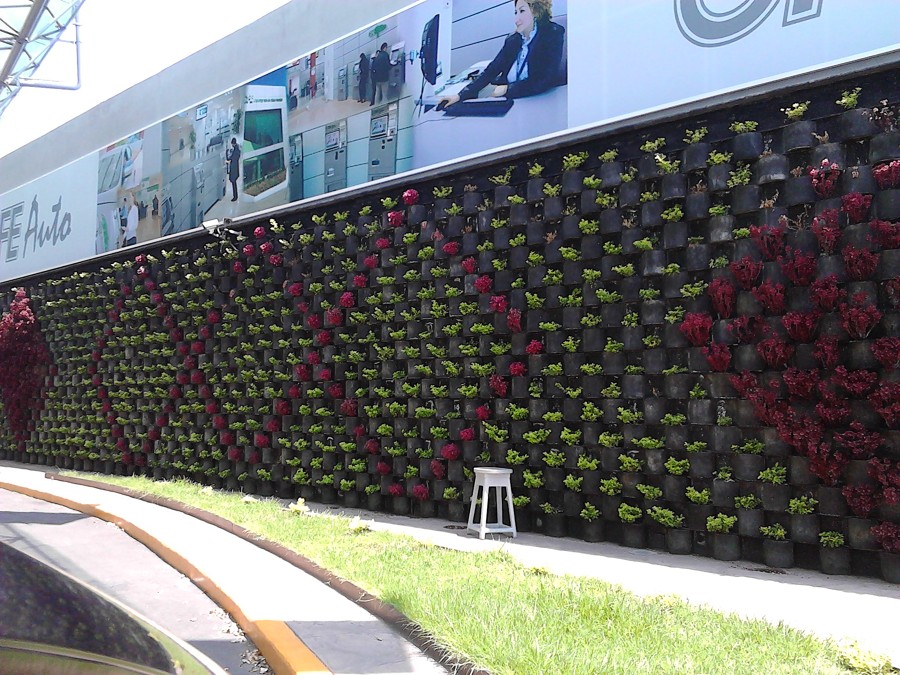 JARDIN VETICAL "FLORESTA" CFE