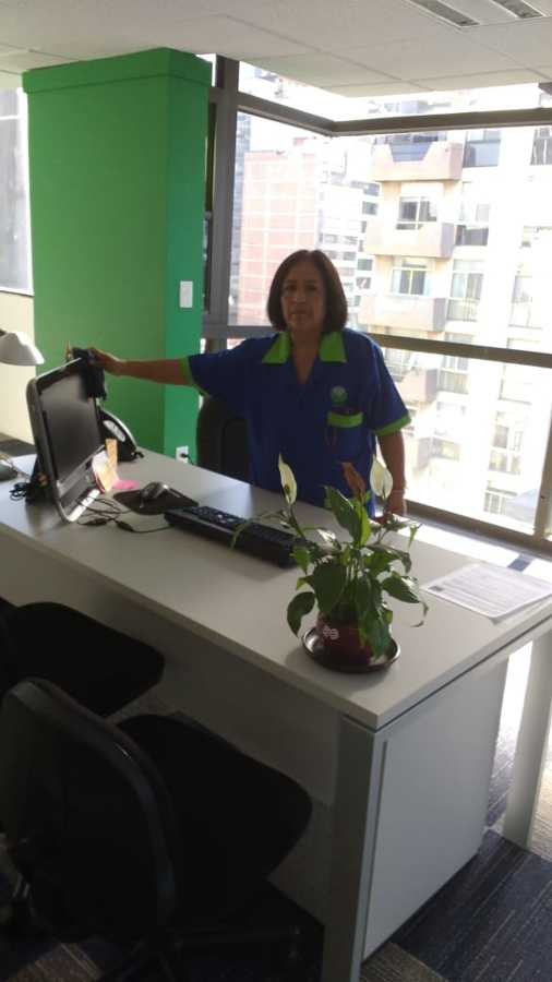 Limpieza de oficinas