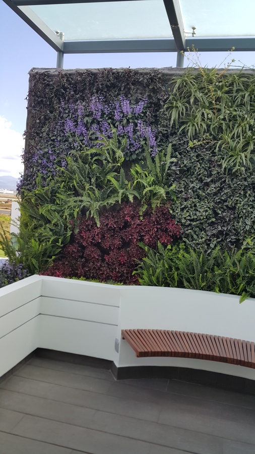 Muro Verde y Banca de asiento circular en terraza