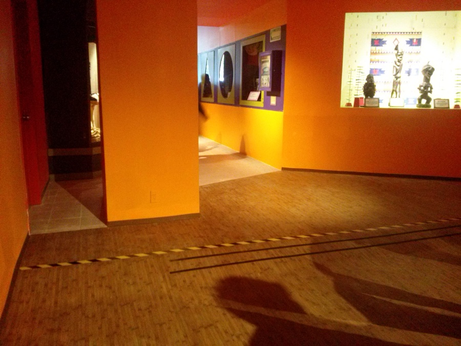 Remodelación Área Africana 3