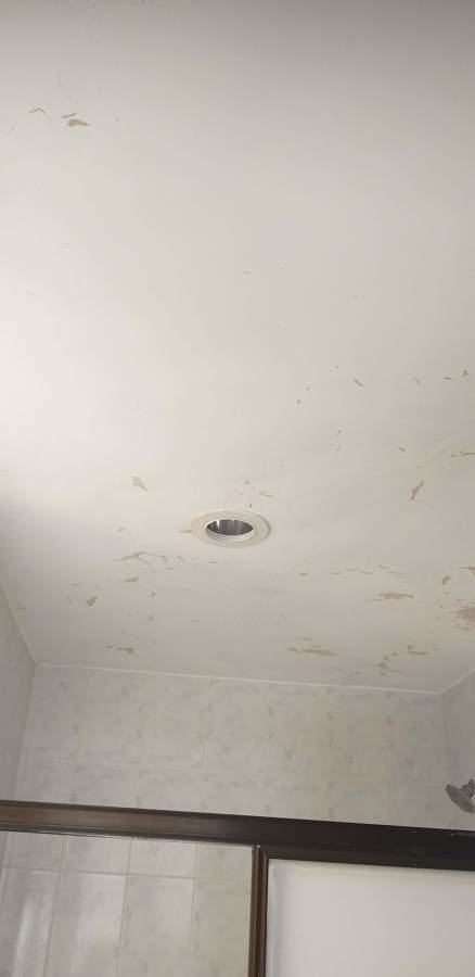 Remodelación casa Bugambilias