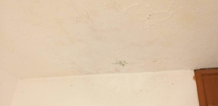 Remodelación casa Bugambilias