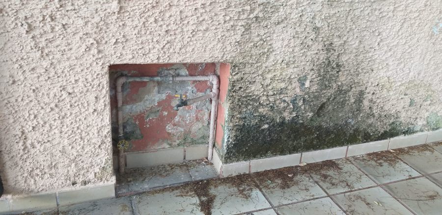 Remodelación casa Bugambilias